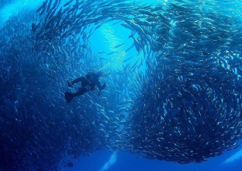 探索知识,尽在1.8经典福克斯最便宜的时候卖多少钱一辆?问答社区